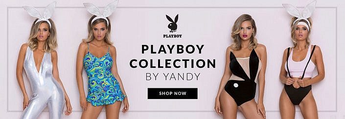 The banner of Playboy